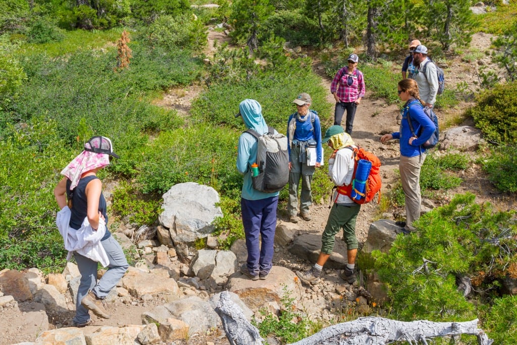 So this is what they meant by “trail eyes” - Pacific Crest Trail ...