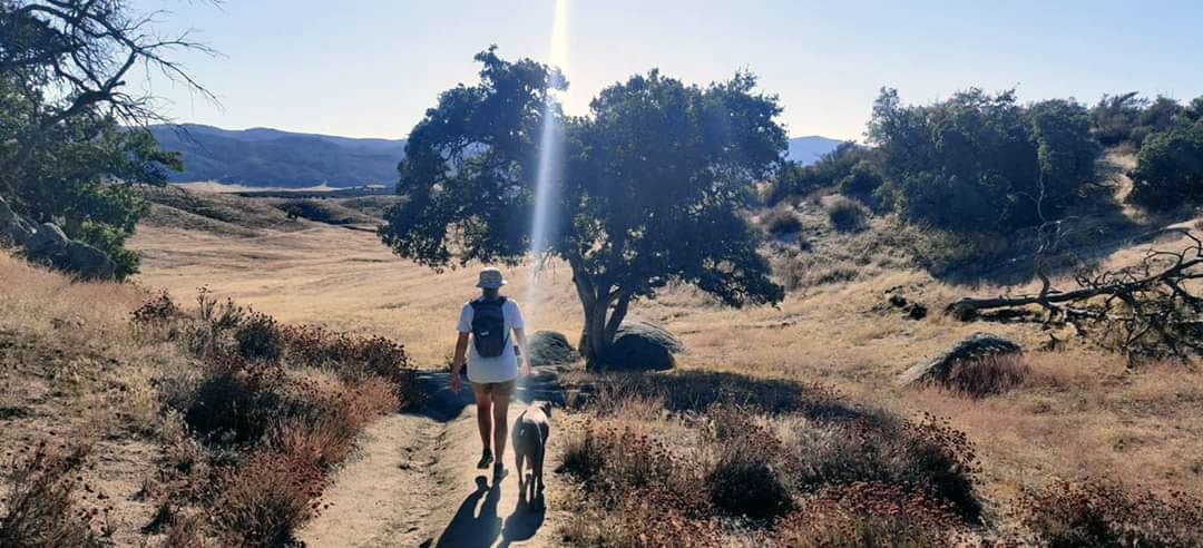 Hiking to Eagle Rock on the Pacific Crest Trail - California Through My Lens